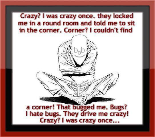 Possibly the original Crazy? I was crazy once. They locked me in