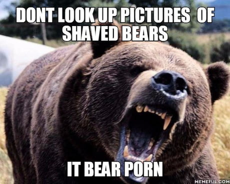 460px x 368px - Dont look up pictures of shaved bears. it bear porn - 9GAG