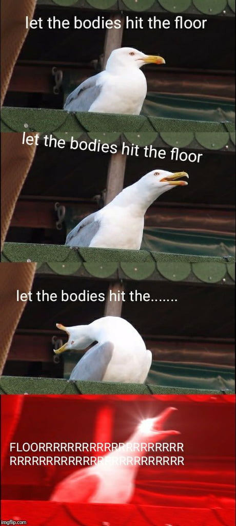 Let The Bodies Hit The Floor 9gag