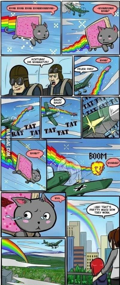 Nyan Katze 9gag