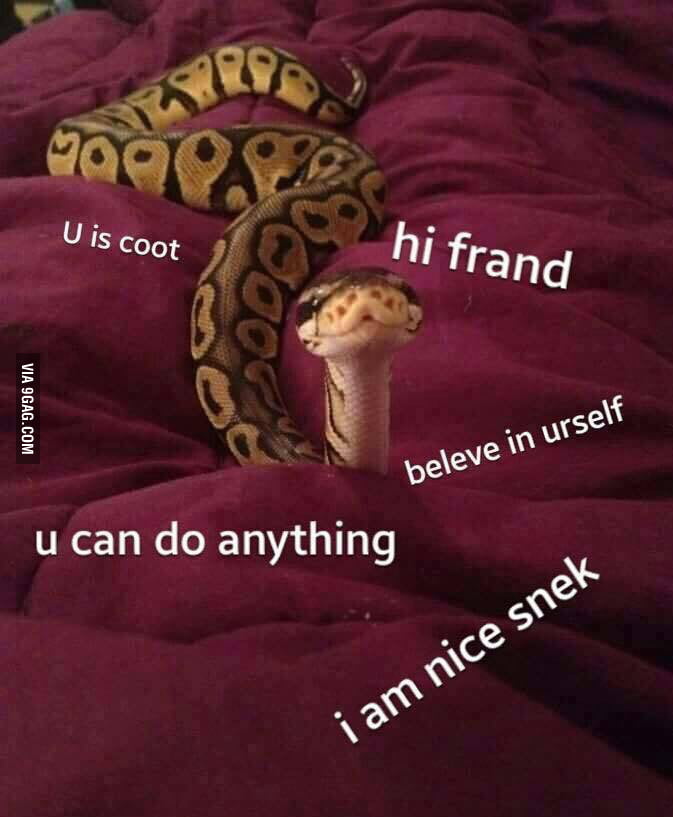 Snek army ! - 9GAG