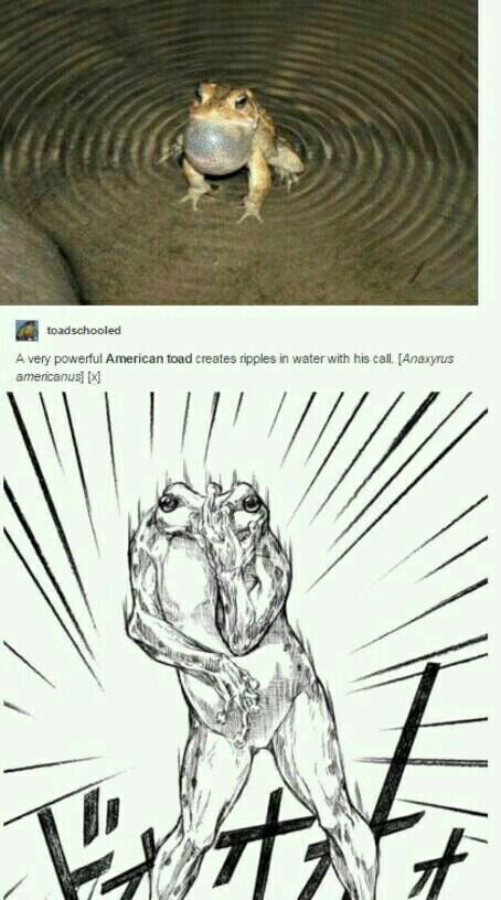 ゴゴゴゴゴゴゴゴゴゴゴゴゴゴゴゴゴゴゴゴゴゴゴゴ 9gag ゴゴゴゴゴゴゴゴゴゴゴゴゴゴゴゴゴゴゴゴゴゴゴゴ 9gag