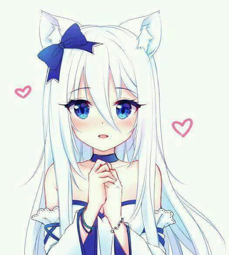 White Hair Blue Eyes Neko 9gag