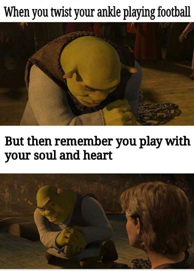 Nice Shrek meme - 9GAG