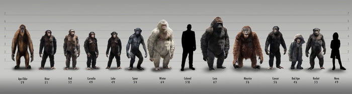 Planet of the Apes size comparison - 9GAG