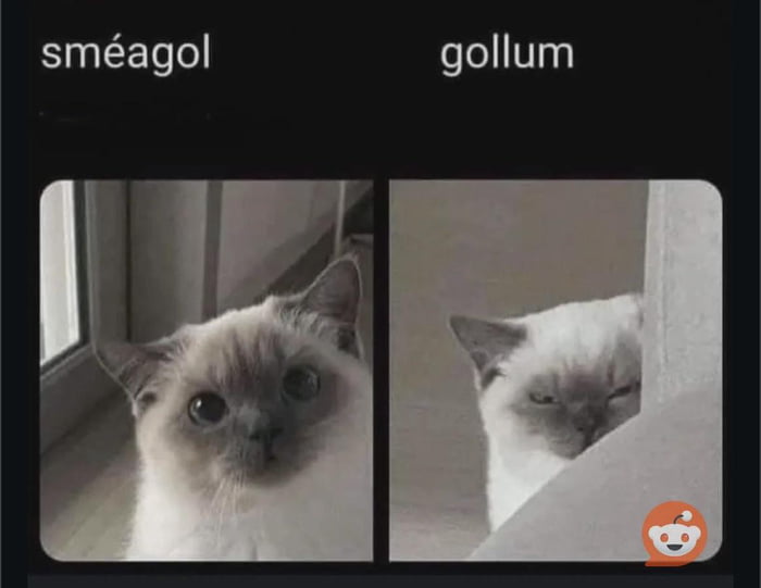 Just gonna leave this here - 9GAG