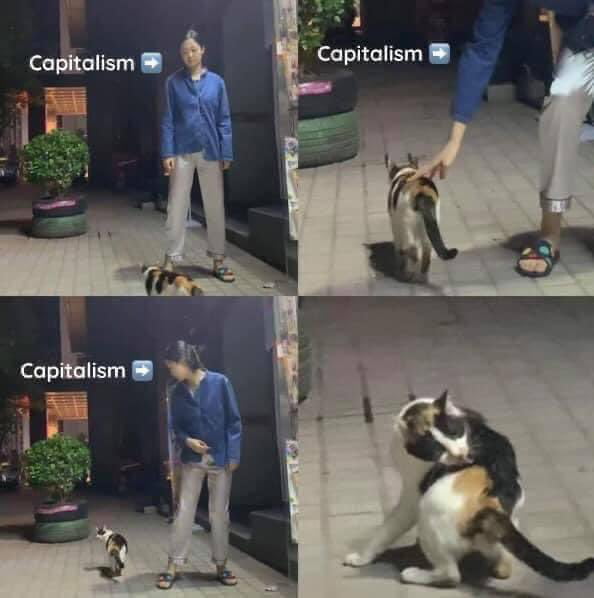 Reverse purr - 9GAG