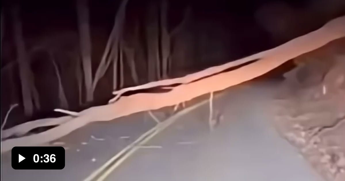 Just a normal day of clearing the road - 9GAG