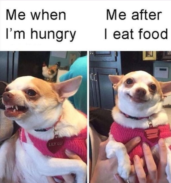 Hungry - 9GAG