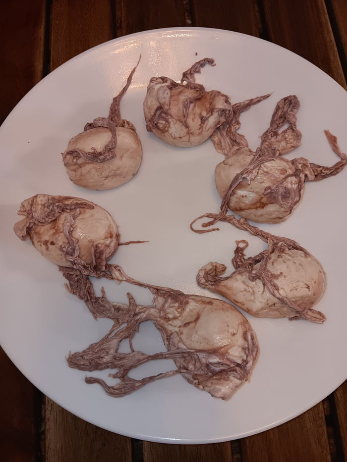 Basalmic vinegar is not an appropriate substitute for poached eggs if