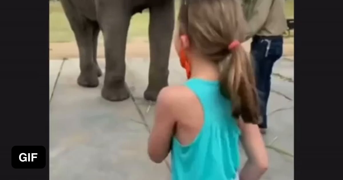 Elephant imitating little girl dancing! 9GAG