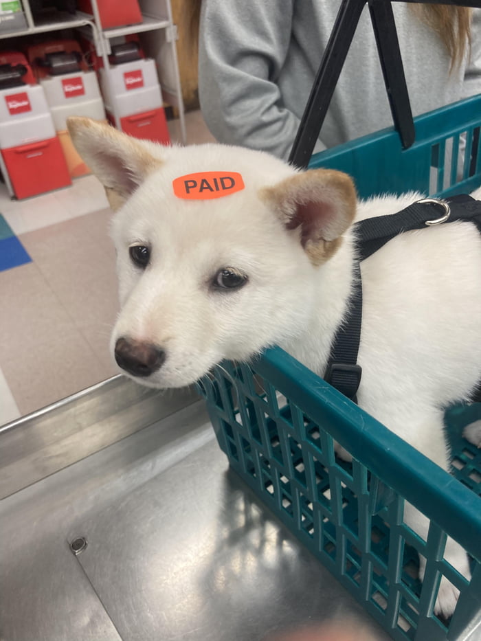 He cost 67 cents 9GAG