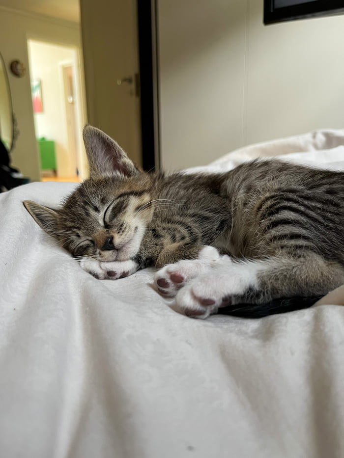 Give me your best sleeping tricks, for when you just can’t sleep 9GAG