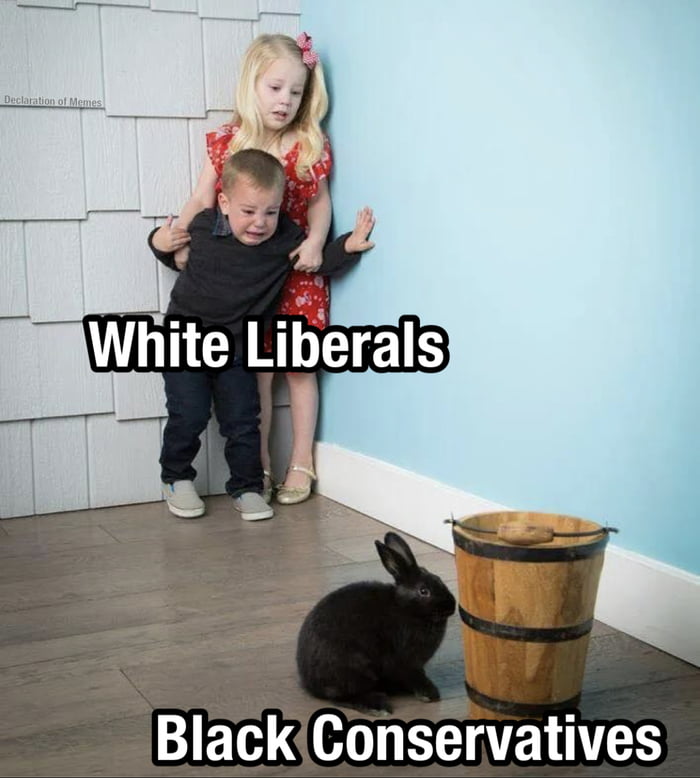 who-s-your-favorite-example-i-think-tim-scott-has-a-good-chance-of