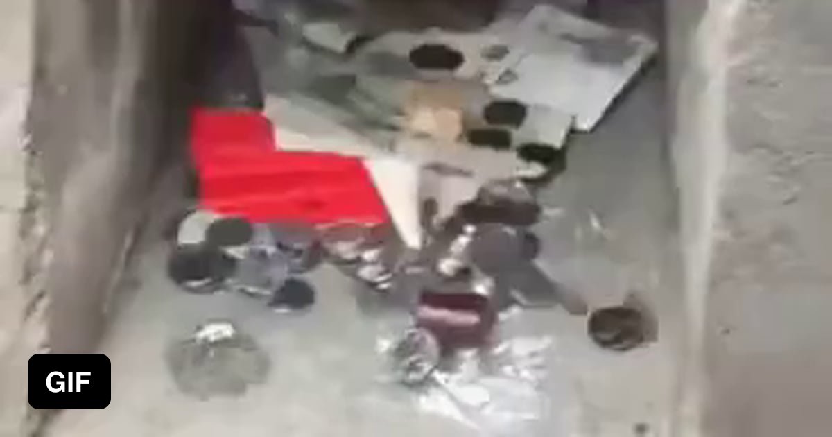 Dragon Hoarding Gold 9GAG