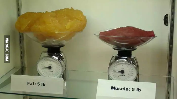 Five pounds (2.5 kg) of fat compared to five pounds of muscle - 9GAG