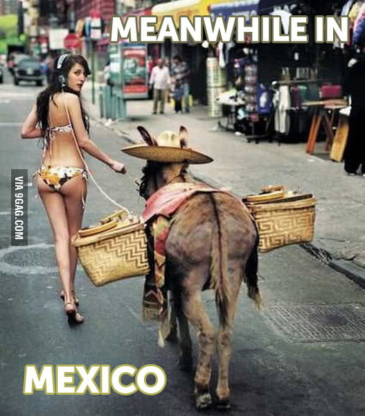 Mexican Donky Show