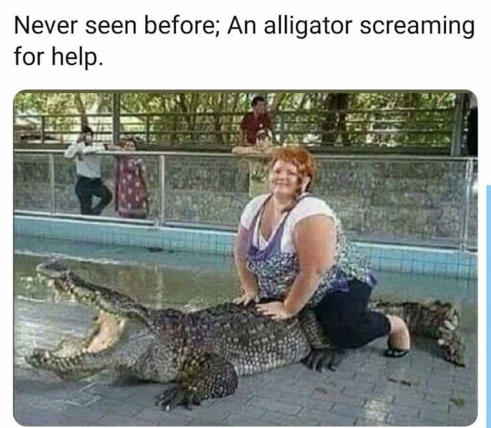 Alligator screaming - 9GAG