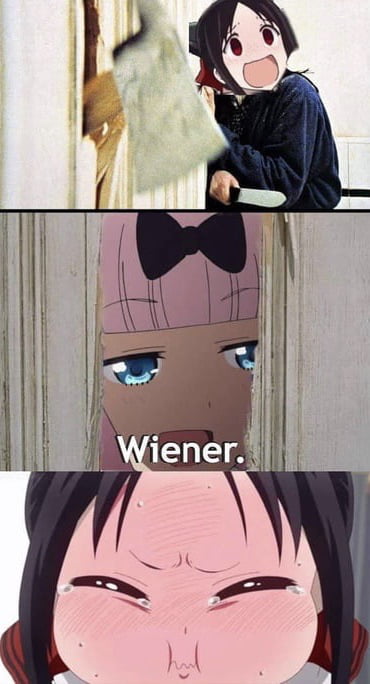 Wiener i. c. Collection: Norbert