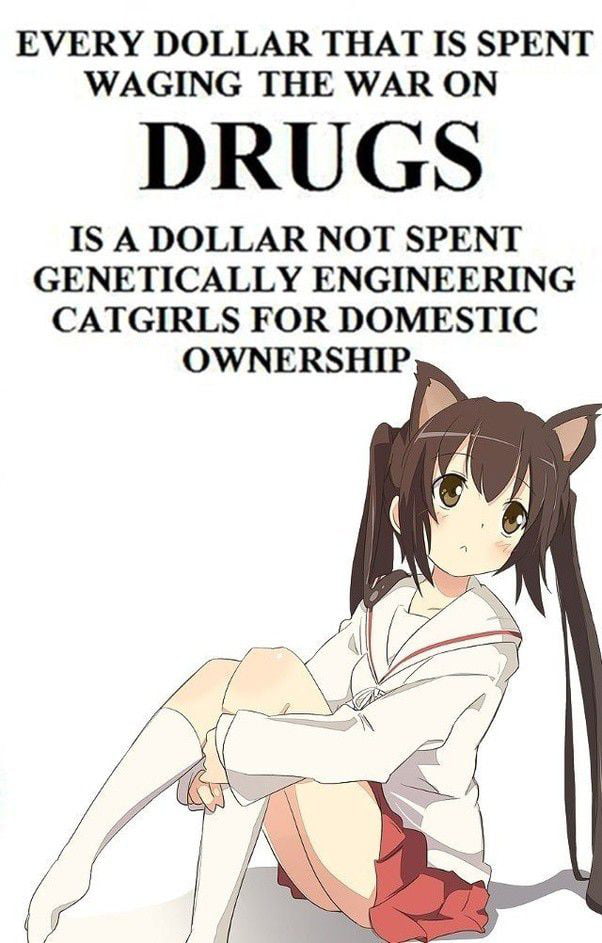 Now i realize how much we need cat girl for domestic ownership - 9GAG