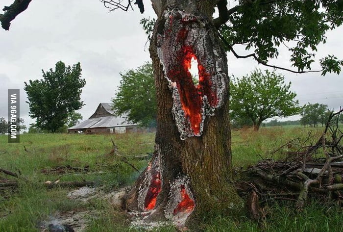 Tree Was Struck By Lightning Direct Hit Oklahoma Usa 9gag 