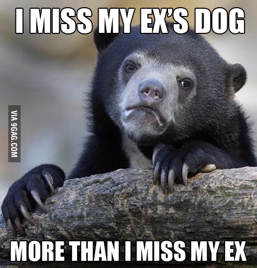 Just ended a relationship. I miss her, but... - 9GAG
