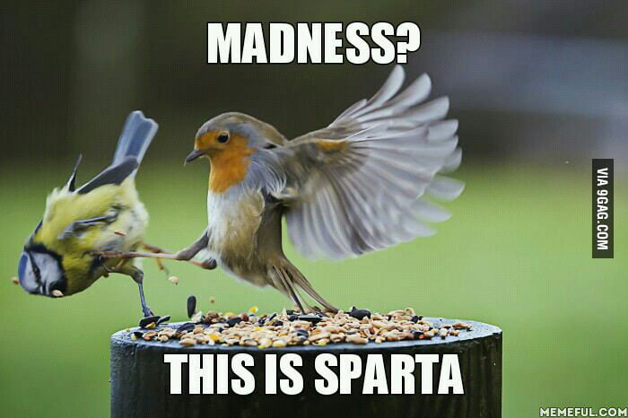 This is Sparta! - 9GAG