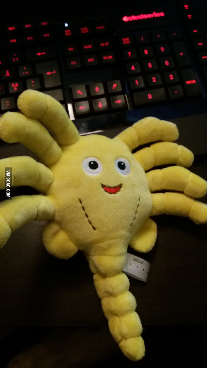 Cute facehugger 9GAG