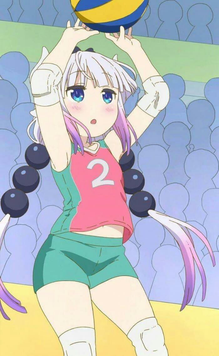 Girl Volleyball Anime