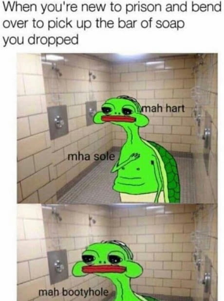 Poor turtle boi - 9GAG
