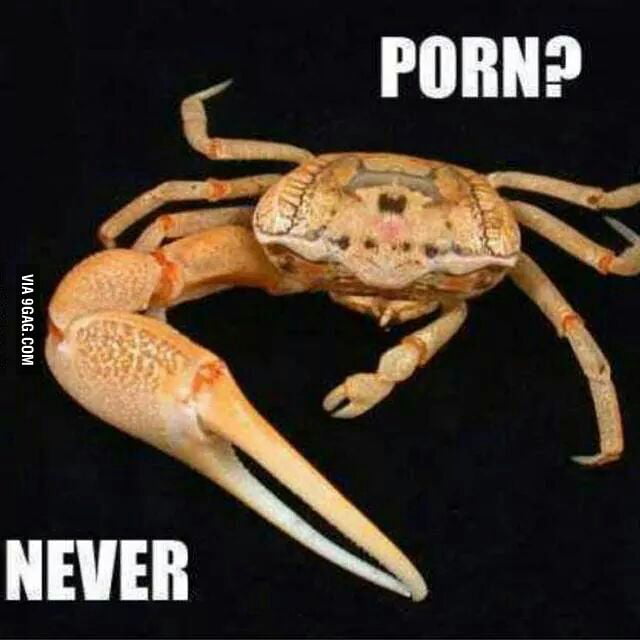 Porn? Never - 9GAG