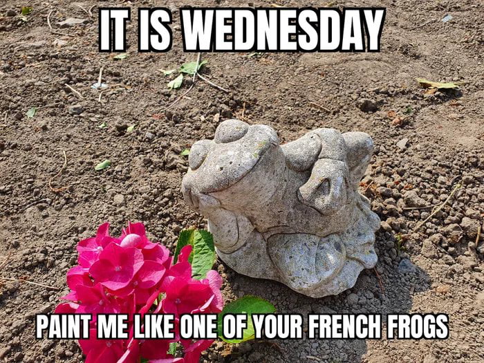 Give Some Romance To Your Wednesday 9GAG