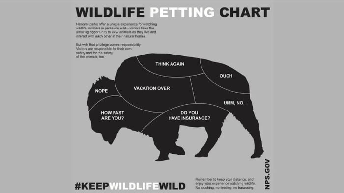 wild-bison-petting-chart-9gag