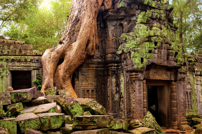 The Angkor Wat Temple In Cambodia Abandoned Since The Th Century Gag