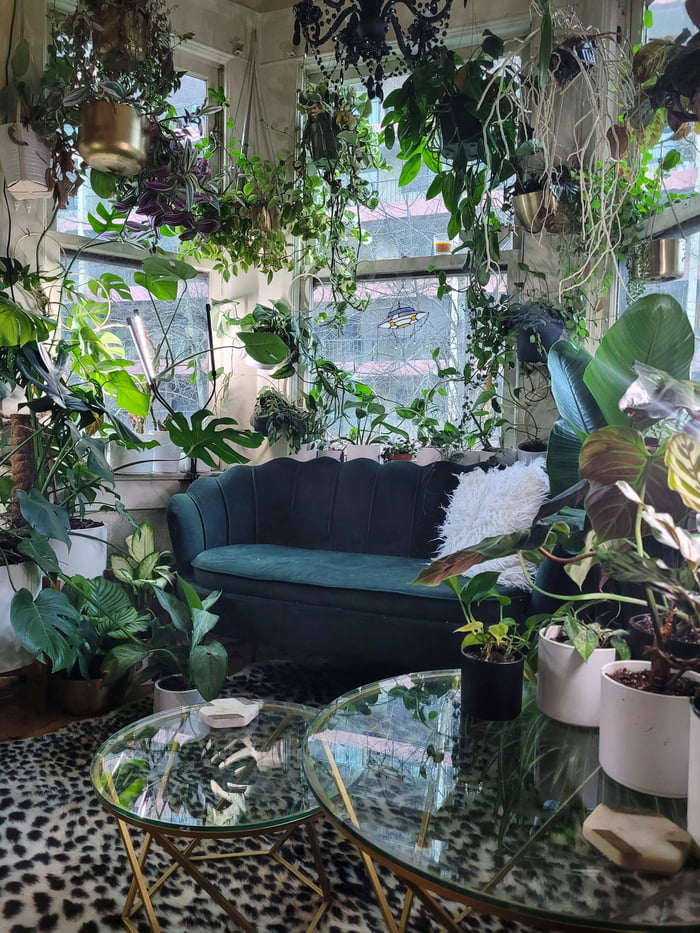 Maximalist green reading nook - Portland OR - 9GAG