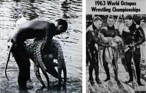 The World Octopus Wrestling Championships took place in 1963 and then never again. - 9GAG
