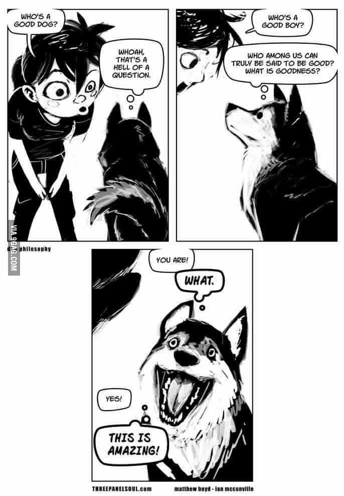 Who s A Good Boy 9GAG