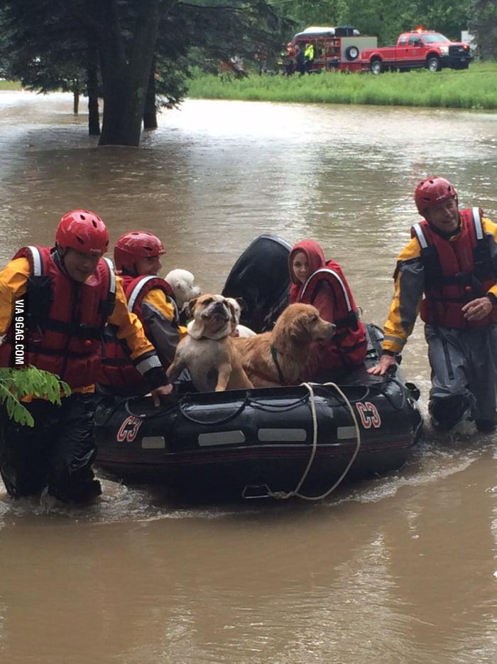Dogs being rescued from a flooded kennel in Ohio 9GAG