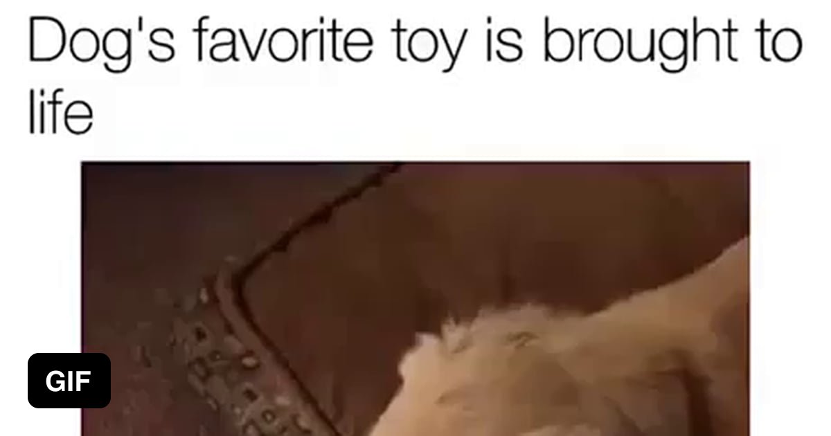 Dogs favorite toy brought to life 9GAG