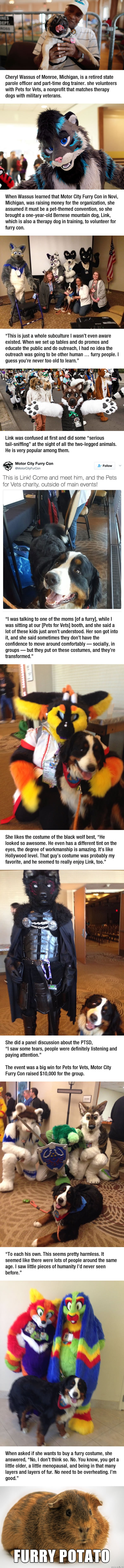 An Unsuspecting Mom Took Her Dog to A Furry Convention Thinking It Was An Event for Pets pictures images An Unsuspecting Mom Took Her Dog to A Furry Convention Thinking It Was An Event for Pets