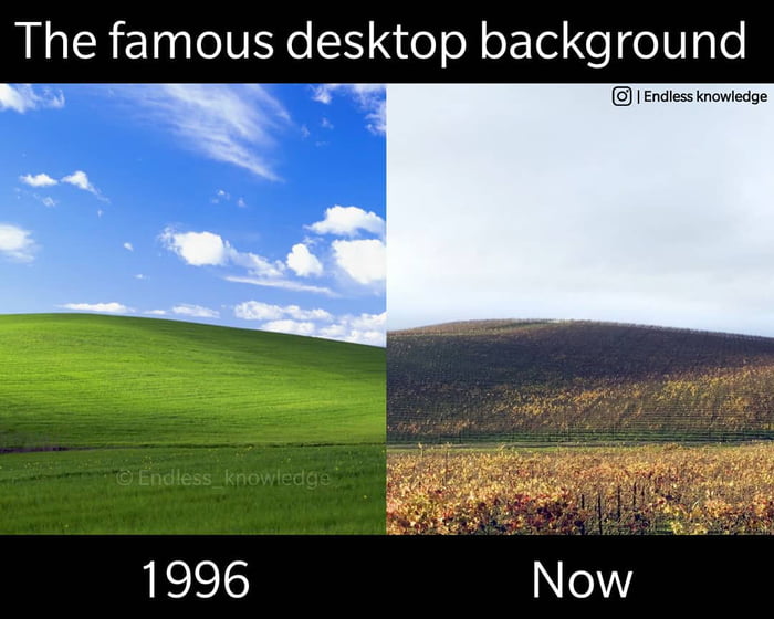 This is how windows xp's default background looks like now - 9GAG