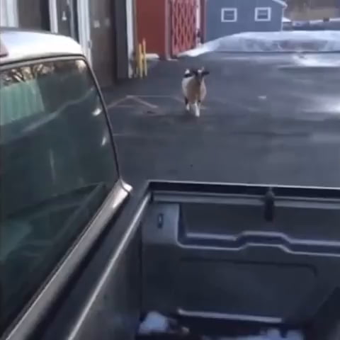 Why are they here?