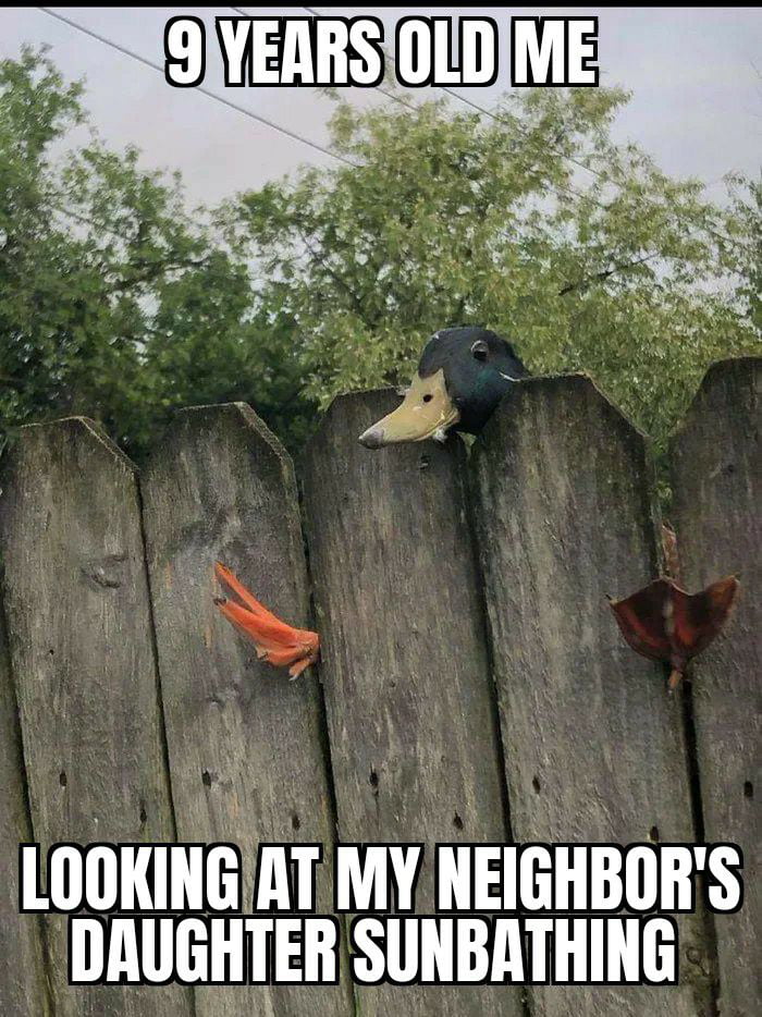 My Neighbor Sunbathing My Neighbor Sunbathing