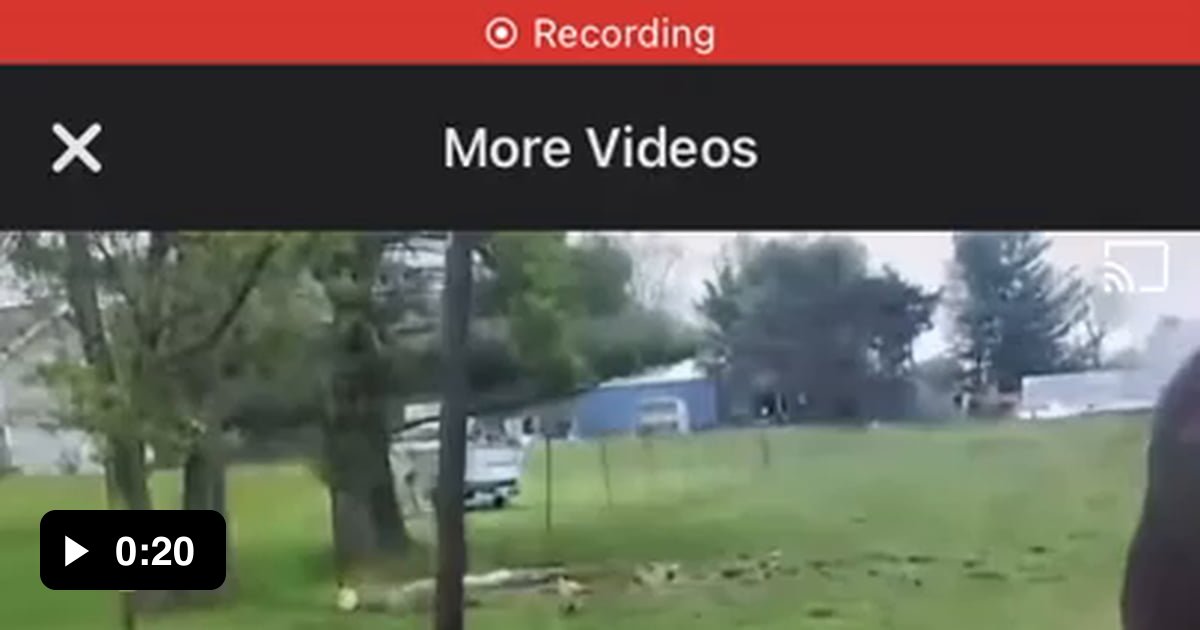 Friend Of Mines Donkey Laughs At Her Dog When She Gets Scared By The Electric Fence 9gag Friend Of Mines Donkey Laughs At Her Dog When She Gets Scared By The Electric Fence 9gag