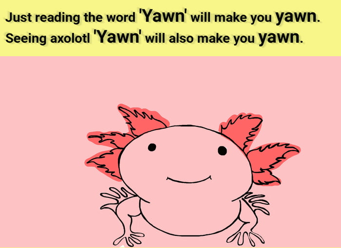 Cute Axolotls Can Make You Yawn 9gag