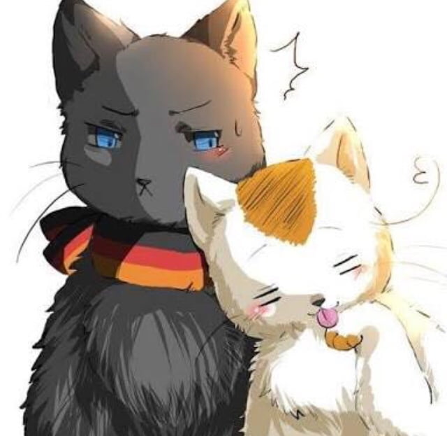 Hetalia Cats Germany And Italy 9gag