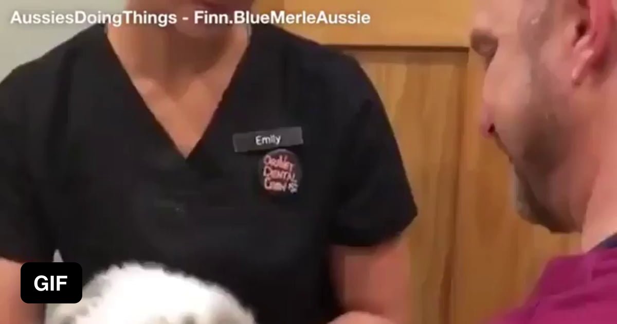 At the Vet - 9GAG
