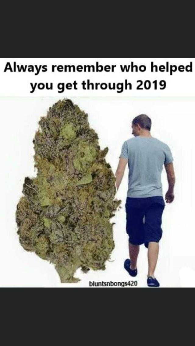 If I Don't Successfully Pick Up 420 420 - 9GAG
