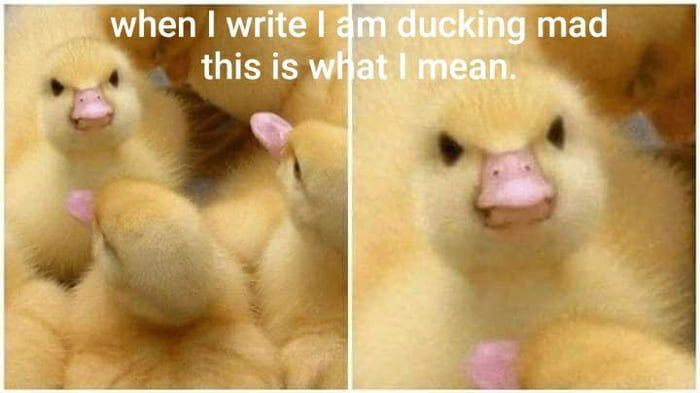 You mess with the quack, you get the wack - 9GAG