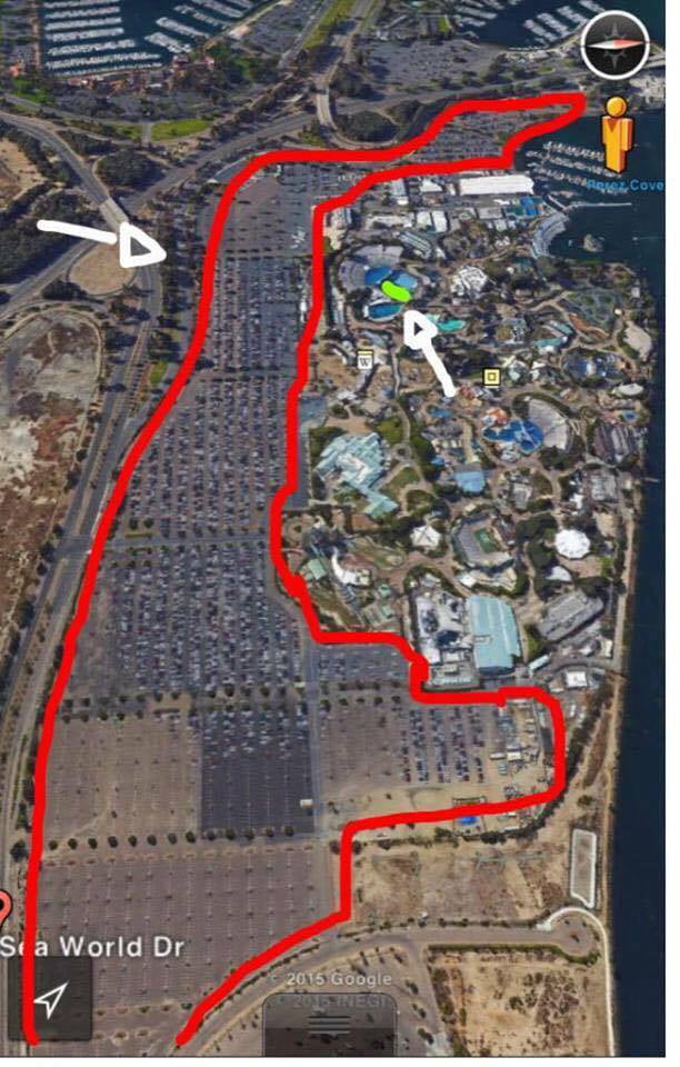 Seaworld Parking Lot Vs The Pool Where The Whales Spend All Their Lives 9gag